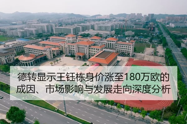 de-zhuan-xian-shi-wang-yu-dong-shen-jia-zhang-zhi-wan-ou-de-cheng-yin-shi-chang-ying-xiang-yu-fa-zhan-zou-xiang-shen-du-2-229.jpg